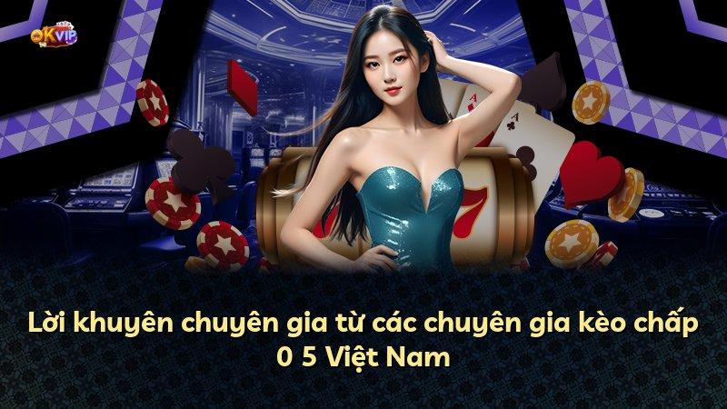 Lời khuyên chuyên gia từ các chuyên gia kèo chấp 0 5 Việt Nam