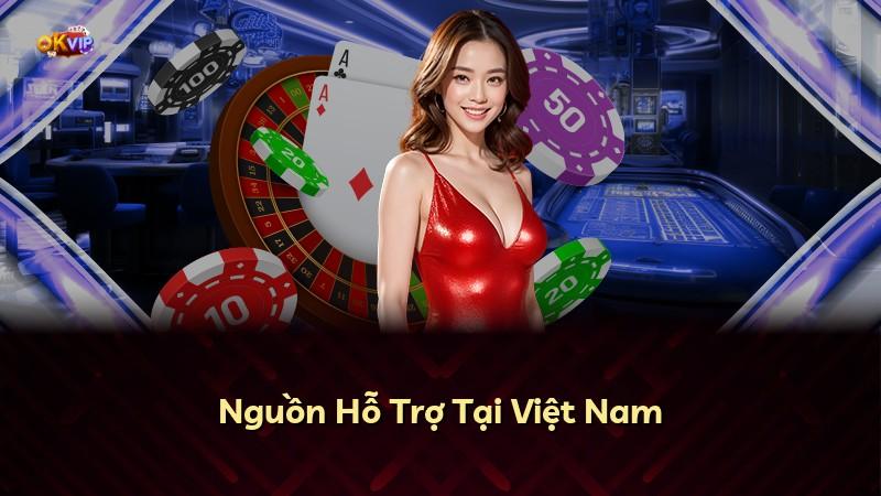Nguồn Hỗ Trợ Tại Việt Nam
