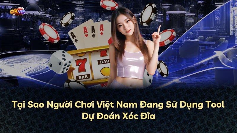 Tại Sao Người Chơi Việt Nam Đang Sử Dụng Tool Dự Đoán Xóc Đĩa